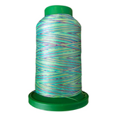 ISACORD - EMERALD CITY (VARIEGATED) (9971)